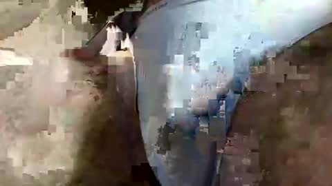 perfectFTM online show from 04.03.26