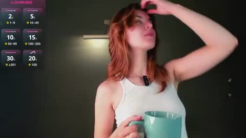 Snapshot of perfectvisitor chatting on 06.29.26 Sophia online show from 06.29.26