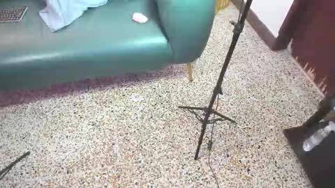 Peter online show from 02.21.26