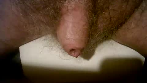 Snapshot of peterpeteropoulos chatting on 12.14.24 peterpeteropoulos online show from 12.14.24