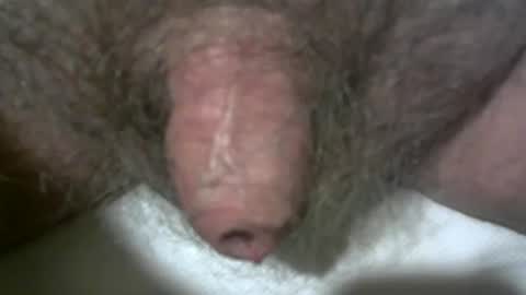 Snapshot of peterpeteropoulos chatting on 02.07.25 peterpeteropoulos online show from 02.07.25