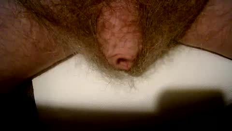 Snapshot of peterpeteropoulos chatting on 02.14.25 peterpeteropoulos online show from 02.14.25