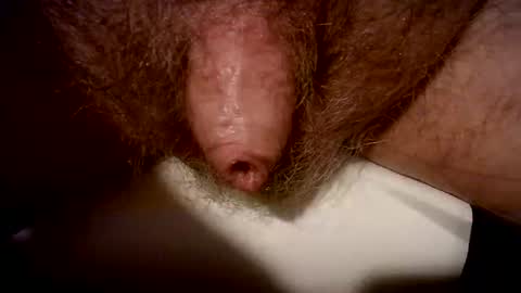 Snapshot of peterpeteropoulos chatting on 02.20.25 peterpeteropoulos online show from 02.20.25