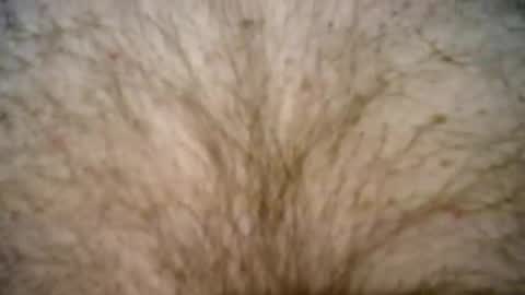 Snapshot of peterpeteropoulos chatting on 02.27.25 peterpeteropoulos online show from 02.27.25