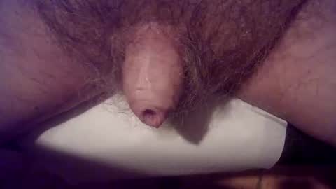 Snapshot of peterpeteropoulos chatting on 03.01.25 peterpeteropoulos online show from 03.01.25