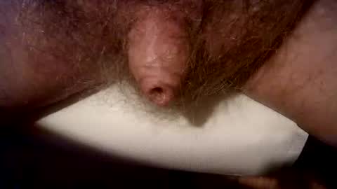 Snapshot of peterpeteropoulos chatting on 03.03.25 peterpeteropoulos online show from 03.03.25