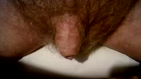 Snapshot of peterpeteropoulos chatting on 03.08.25 peterpeteropoulos online show from 03.08.25