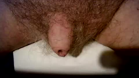 Snapshot of peterpeteropoulos chatting on 10.21.25 peterpeteropoulos online show from 10.21.25