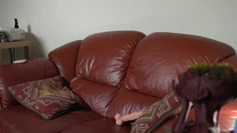 caracal online show from 03.11.25