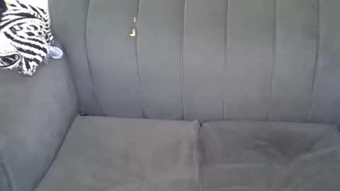 Kitty online show from 06.11.26