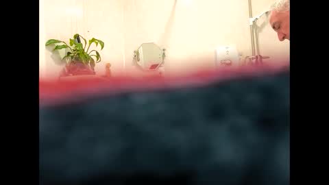 Snapshot of petrol63102 chatting on 02.19.26 petrol63102 online show from 02.19.26