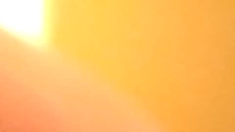 Snapshot of petw45 chatting on 02.25.26 petw45 online show from 02.25.26