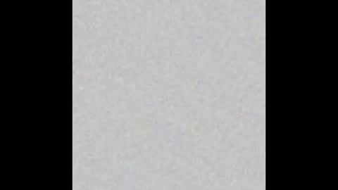 peytonn_monroe online show from 11.06.25