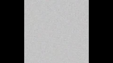 peytonn_monroe online show from 12.14.25