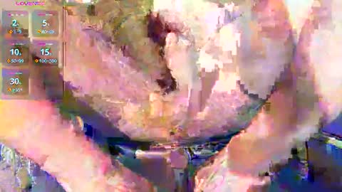 phil_up online show from 01.11.26