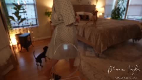 Snapshot of phoenix_taylor chatting on 10.30.25 PHOENIX TAYLOR online show from 10.30.25