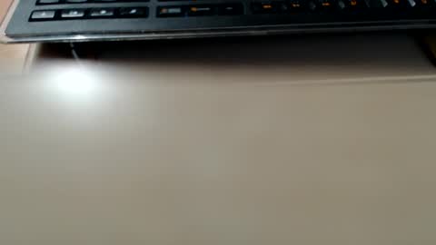 pier49x online show from 12.22.24