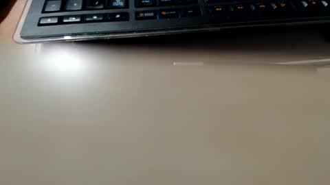 pier49x online show from 02.24.25