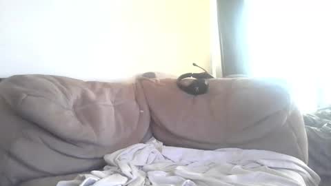 Snapshot of piggyfun79 chatting on 03.01.26 Piggyfun1979 online show from 03.01.26