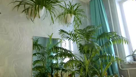 Snapshot of pink_light chatting on 02.11.26 Tatyana online show from 02.11.26