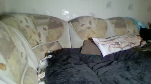 Incubus online show from 01.03.25