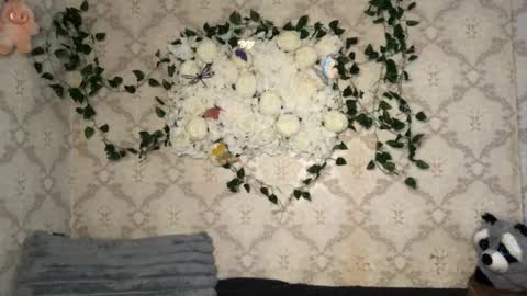 Incubus online show from 02.17.26