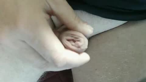 pippo online show from 11.02.25