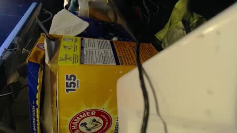 Pisanobear Daddy loose open HairyHole poppers toys online show from 02.07.26