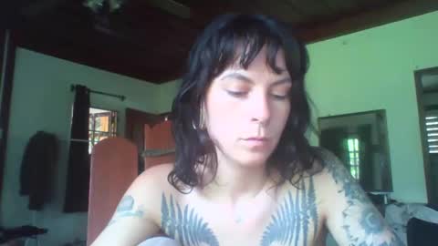 Snapshot of pixiecatfairy chatting on 11.11.25 pixiecatfairy online show from 11.11.25