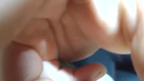 planta722 online show from 04.04.26