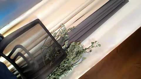 kate online show from 03.21.26