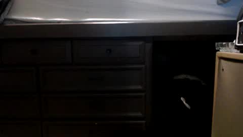 pleasantdinosaurus7537 online show from 11.17.25