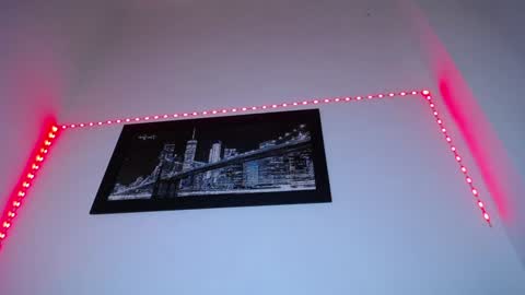 Snapshot of pleassing_ebonny chatting on 12.17.24 CHARLOTTE online show from 12.17.24