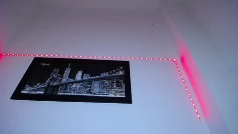 Snapshot of pleassing_ebonny chatting on 12.27.24 CHARLOTTE online show from 12.27.24