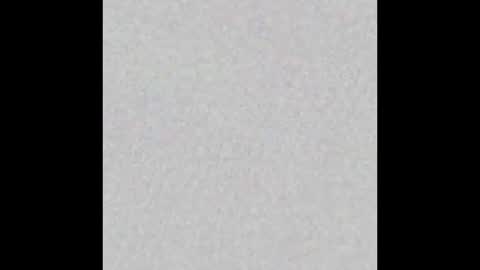 plsdominate online show from 03.01.26