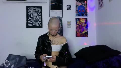    online show from 02.12.26