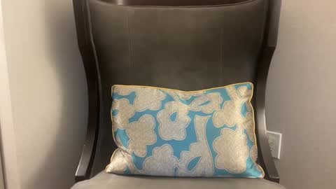 pluz69 online show from 01.08.26