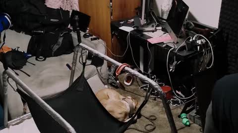 Snapshot of pnp385763 chatting on 10.19.25 Pup Seth online show from 10.19.25