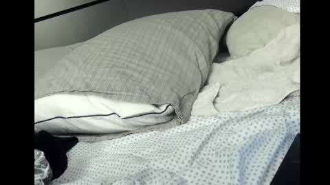 Snapshot of pockitrocket chatting on 03.02.26 Rocket online show from 03.02.26