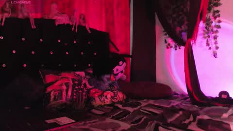 Snapshot of poison__luna chatting on 02.15.26 Luna online show from 02.15.26