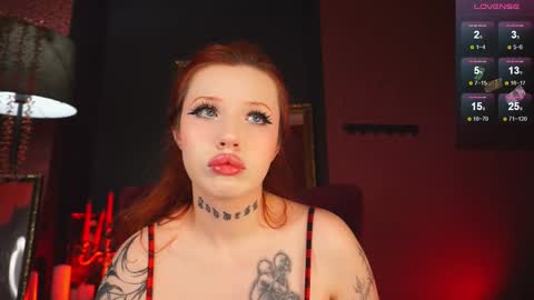 next streams mon wed sat sun 5am-1pm utc online show from 11.05.25