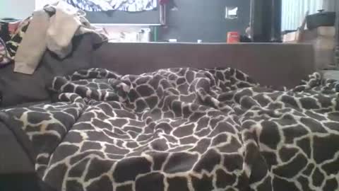 Snapshot of pokerfffface79 chatting on 03.27.26 pokerfffface79 online show from 03.27.26