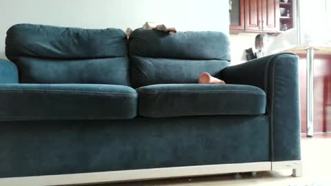 pokusss online show from 01.15.26