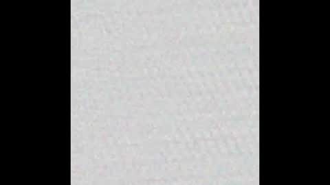 Polly online show from 03.12.25