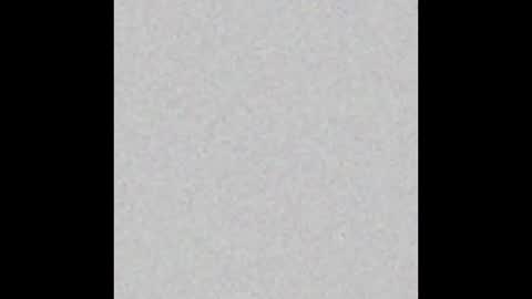 Polly online show from 02.25.26