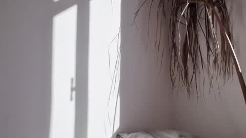 Polina online show from 10.17.25