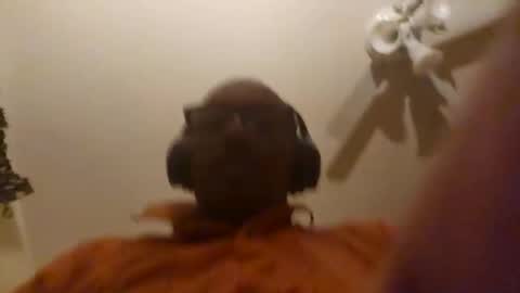 Phil online show from 04.08.26