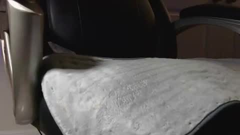 poppyntx online show from 02.20.26