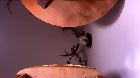 Snapshot of pornstriker chatting on 10.19.25 PornStriker online show from 10.19.25