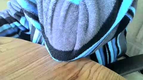 poshman65 online show from 12.29.24